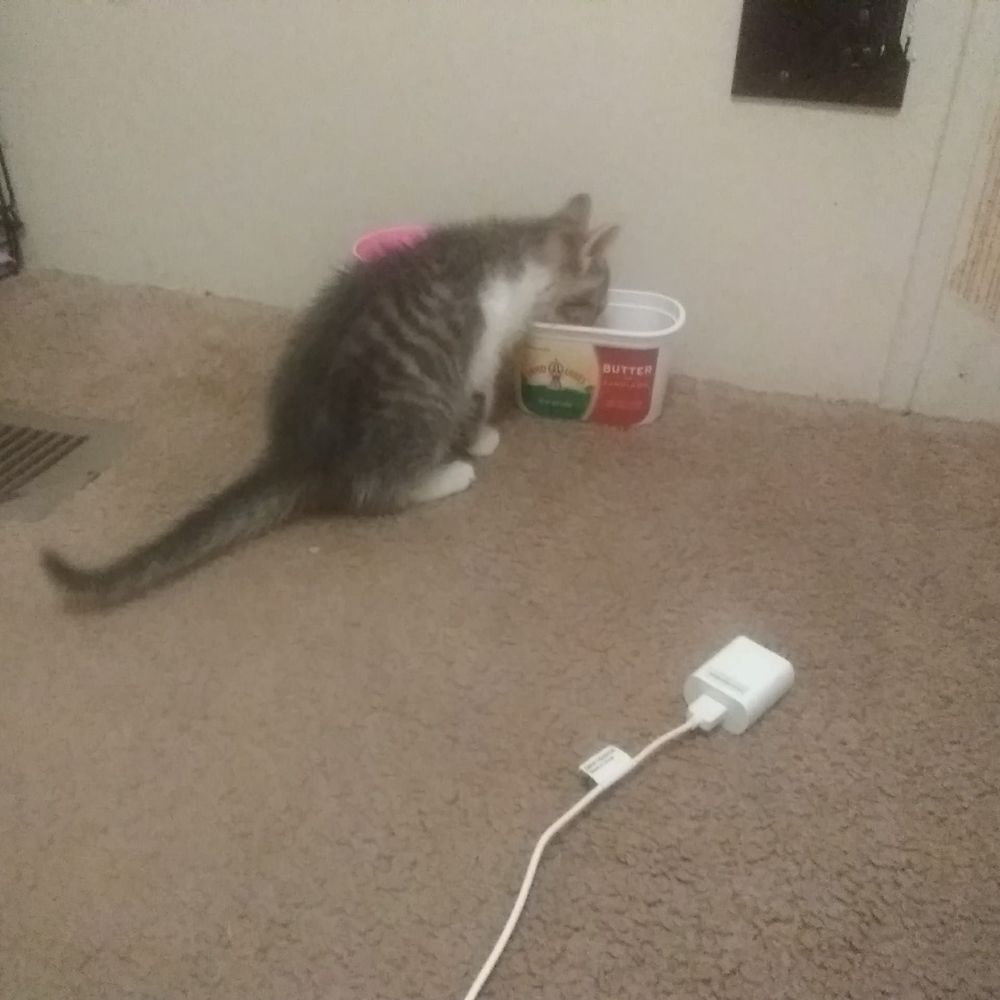 Meet your Posher, Vada